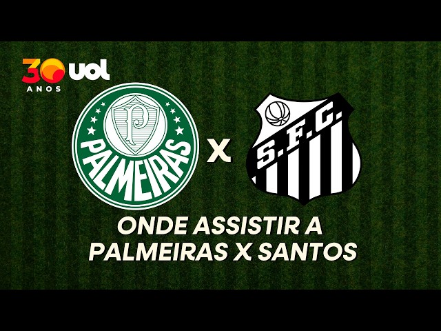 Imagem ilustrativa sobre Palmeiras x Santos: onde assistir à Copa do Brasil, horário e quem pode marcar a diferença