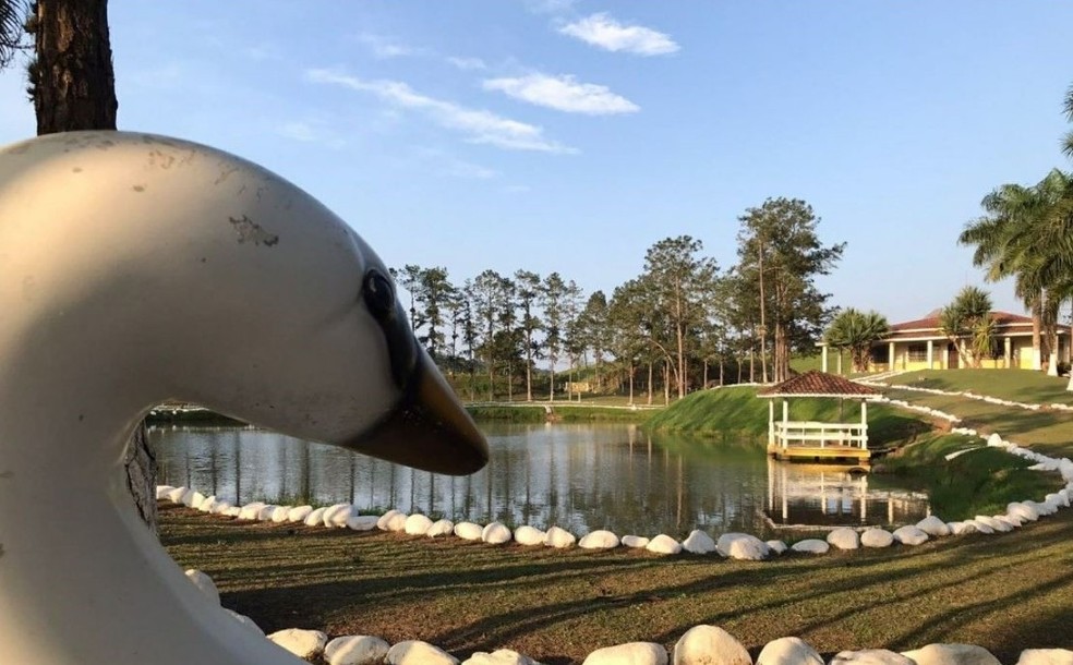 Imagem ilustrativa sobre Fazenda de Pelé em Juquiá sai à venda por R$ 35 milhões com 662 hectares, campo de futebol e quase 30 suítes