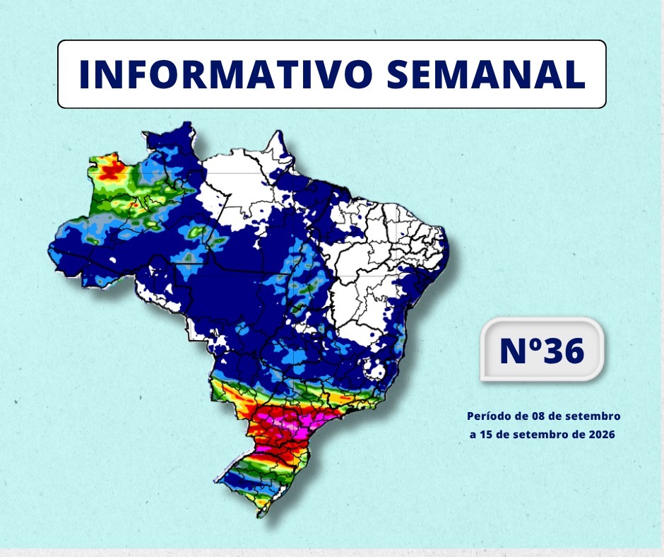 Imagem ilustrativa sobre Três Boletins Bombam em Setembro: Agroclima, Senado e Copasa Unem Dados e Impactos