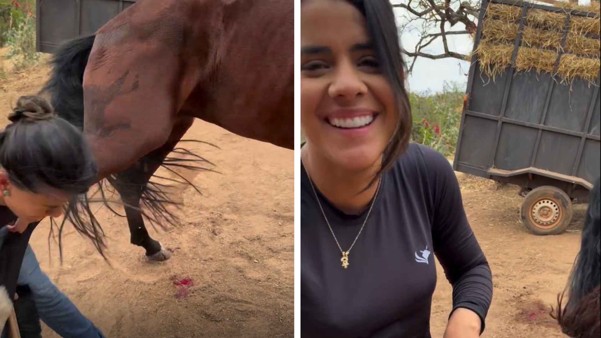 Imagem ilustrativa sobre Cavalo dá coice e derruba veterinária durante gravação: tudo o que sabemos
