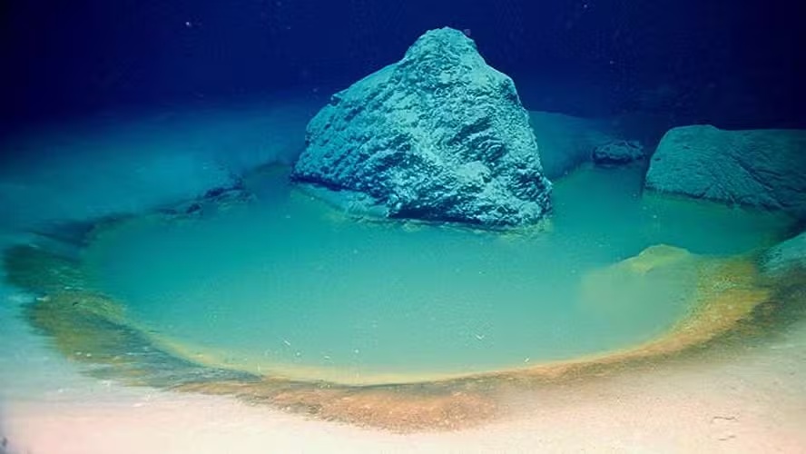 Imagem ilustrativa sobre Estudo revela ‘piscinas da morte’ do Mar Vermelho