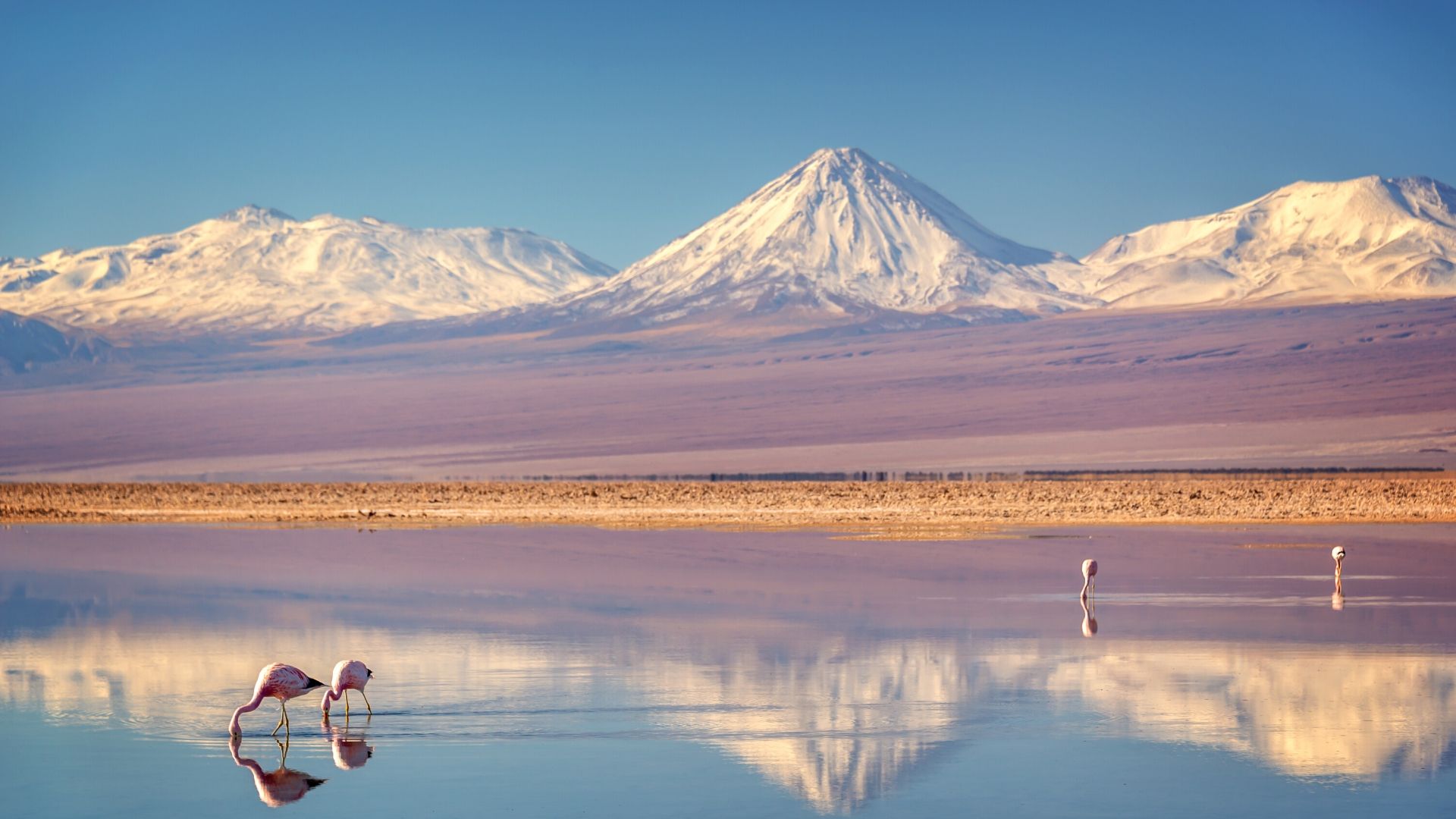 Imagem ilustrativa sobre Deserto do Atacama mergulha no branco: a nevasca que deixou o país em silêncio