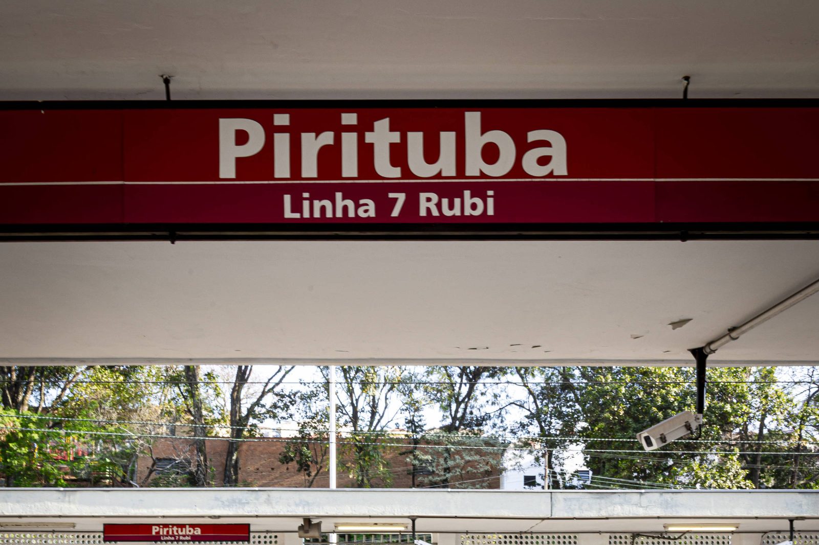 Imagem ilustrativa sobre Árvore cai na Linha 7-Rubi: trens funcionam com lentidão neste domingo